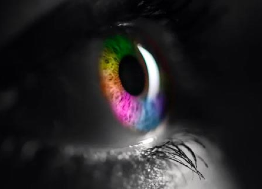 images/vision-couleur.jpg#joomlaImage://local-images/vision-couleur.jpg?width=640&amp;height=320