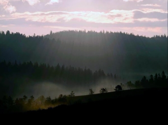 Incipit de  mon roman Sève d'automne